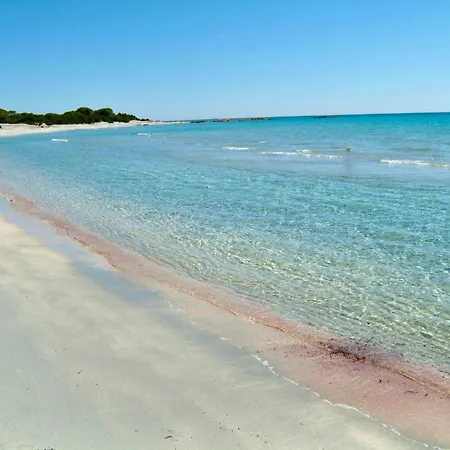 Aparthotel With Air Conditioning In Sos Alinos